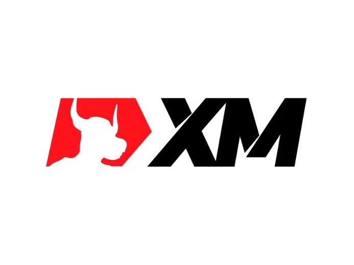 Logo XM